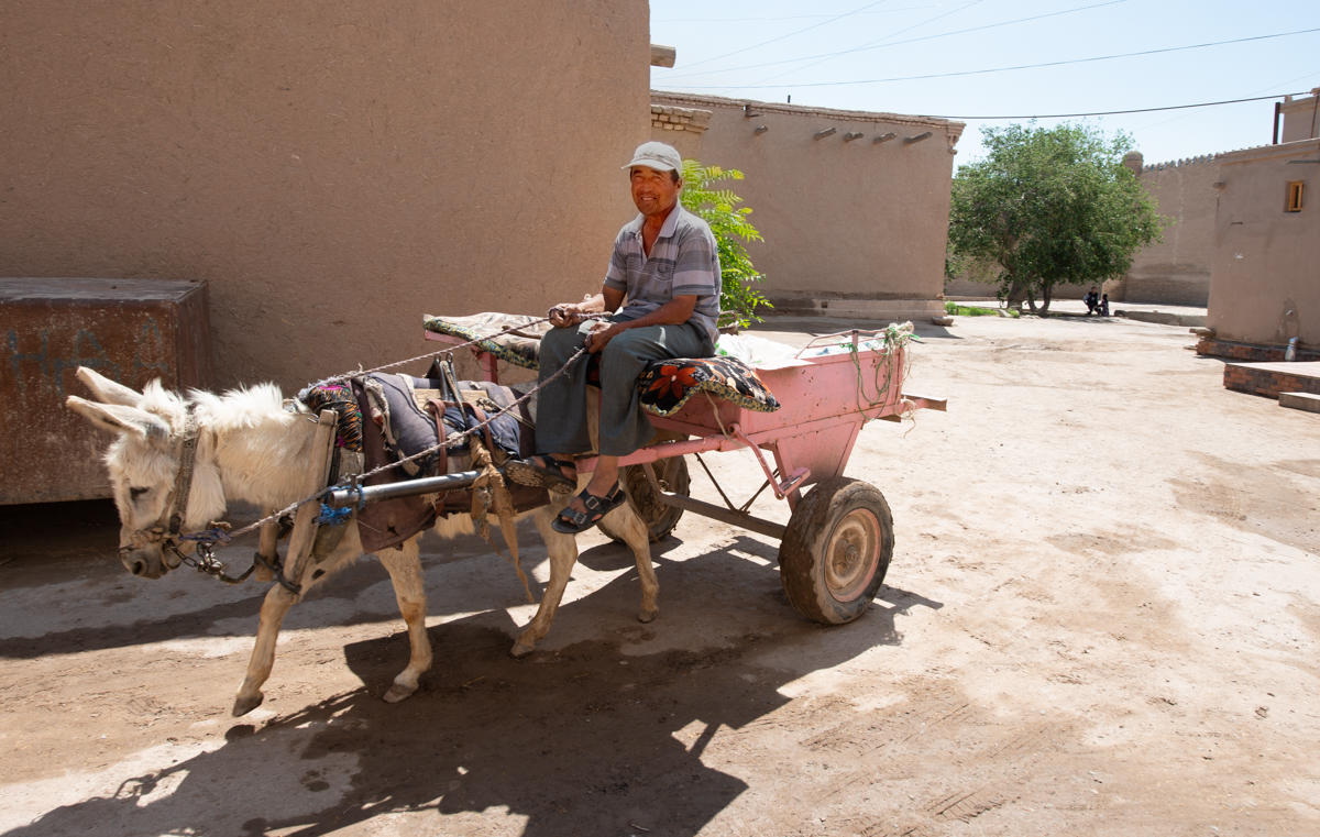 Khiva, Uzbekistan, Donkey cart : Photos : UZEBEKISTAN PHOTOGRAPHY WORKSHOP 2021